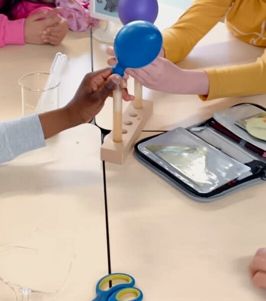 5d50ce2d-94f7-4dd0-b4a9-5b8ff3d7ff5a