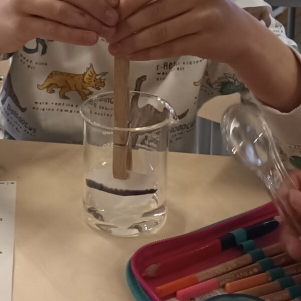 b3e8bdd8-e8d3-451f-991a-3bf14bd6d903