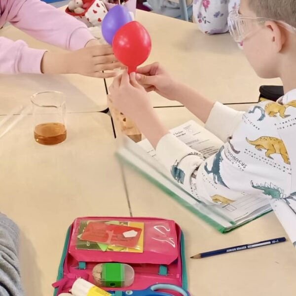 d5c933ea-ff4d-4e3a-8f8d-be68ccab67e6 Kopie