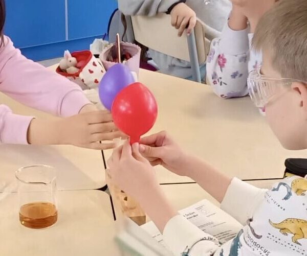 d5c933ea-ff4d-4e3a-8f8d-be68ccab67e6