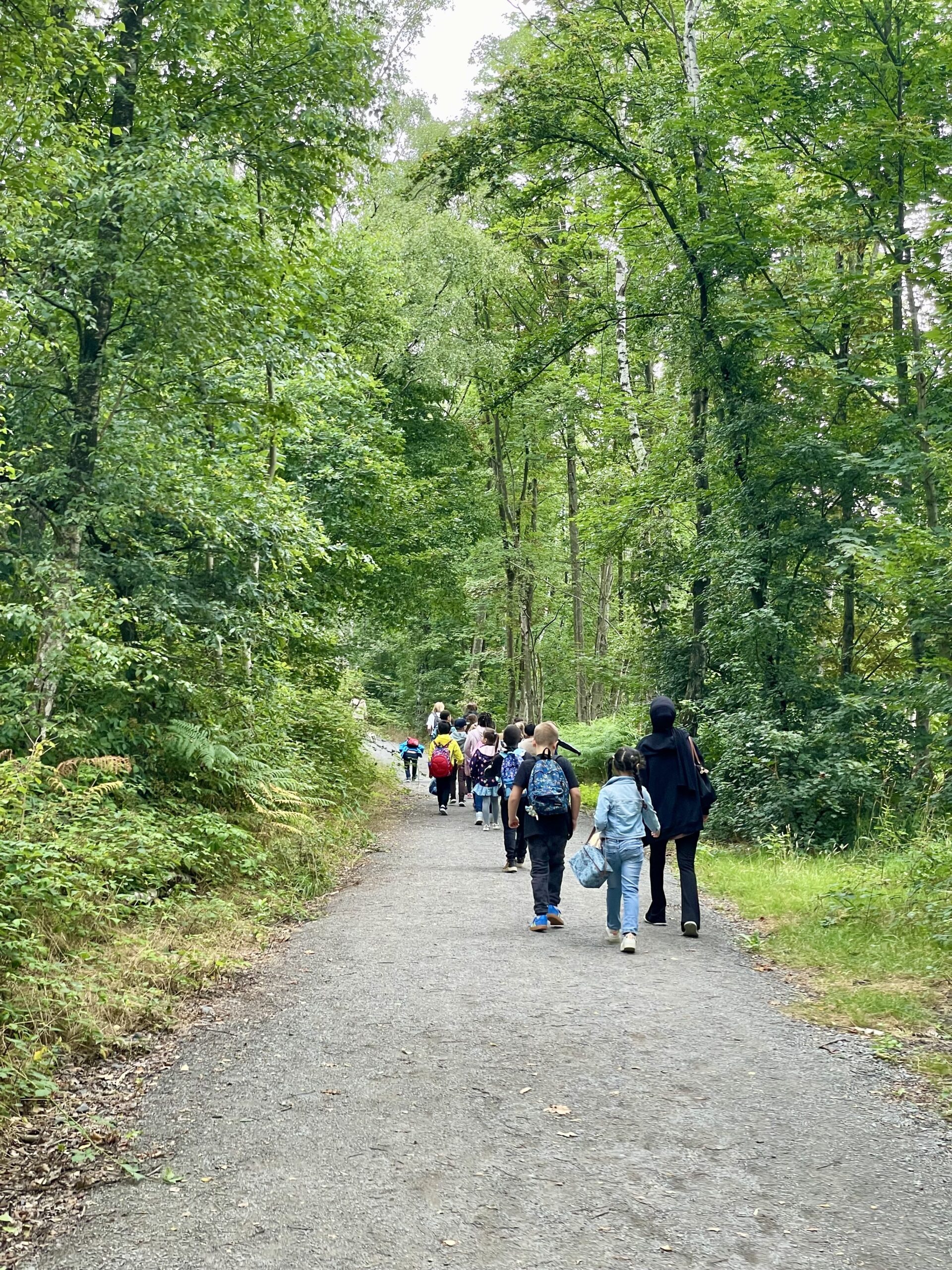 Mehr über den Artikel erfahren Waldtag der ersten Klassen