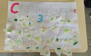 09e74e99-7af8-4a0c-a7e6-d94512c48fc5