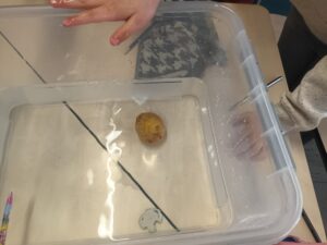 529a41e6-6a4e-404c-9884-c2158274efc1