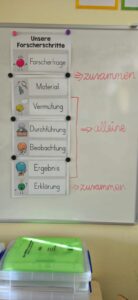 9e4cf1b9-0ed8-4882-8051-3779a41ad1de