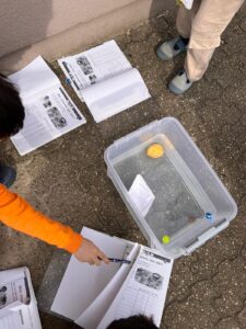 f58a795e-1b07-4589-babc-2358d0e81d16